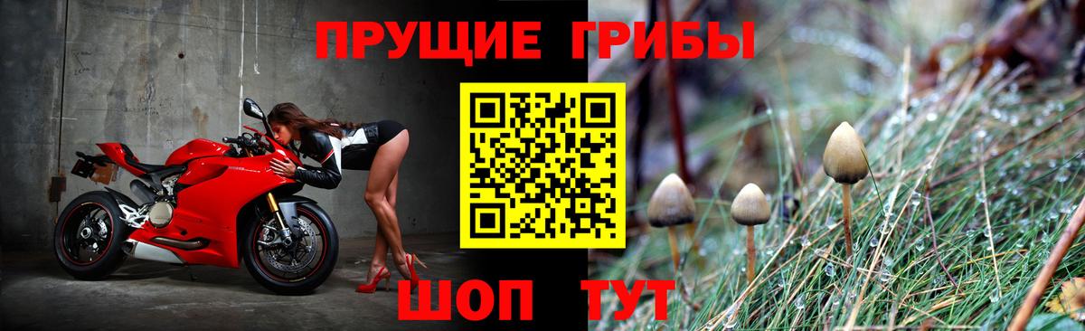 Галлюциногенные грибы мухоморы  Апрелевка 